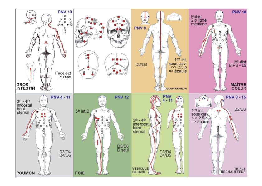 trajets des méridiens d'acupuncture utilisés en kinésiologie